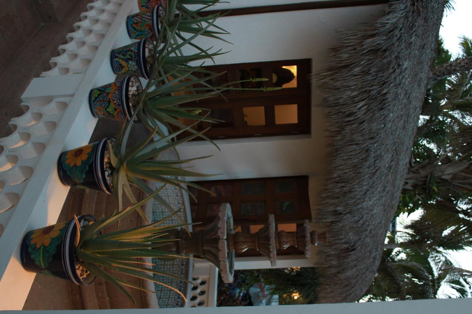 Casa Costa Azul Hotel San José del Cabo Eksteriør billede