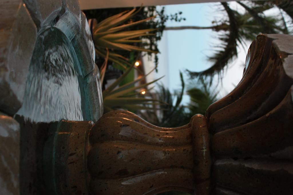 Casa Costa Azul Hotel San José del Cabo Eksteriør billede