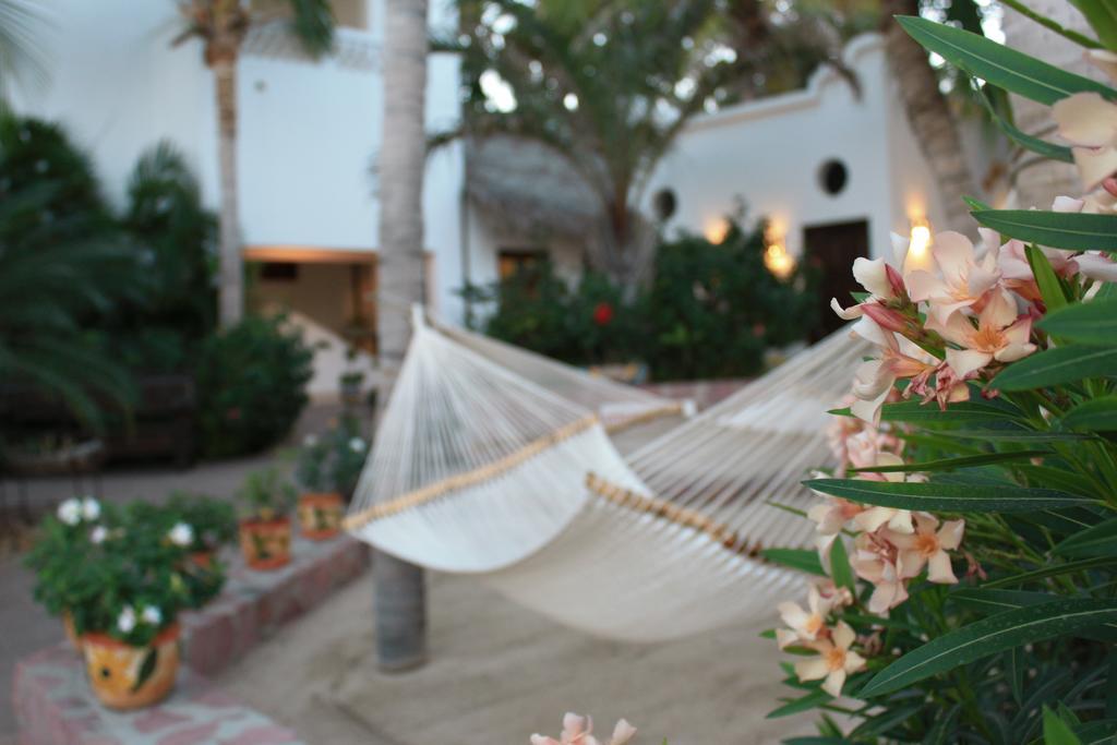 Casa Costa Azul Hotel San José del Cabo Eksteriør billede