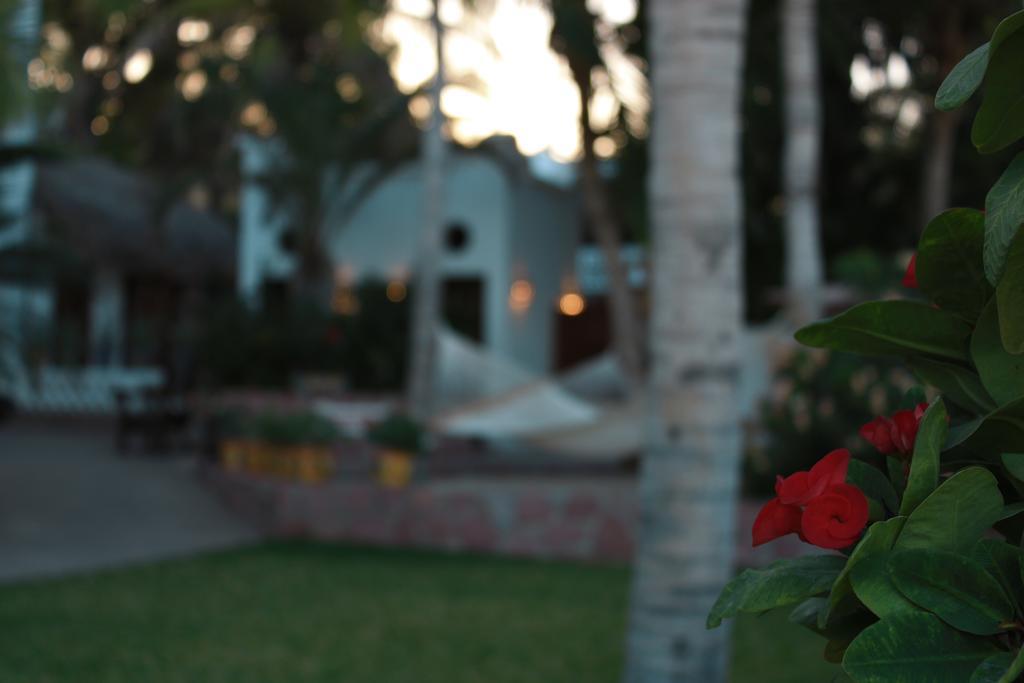 Casa Costa Azul Hotel San José del Cabo Eksteriør billede